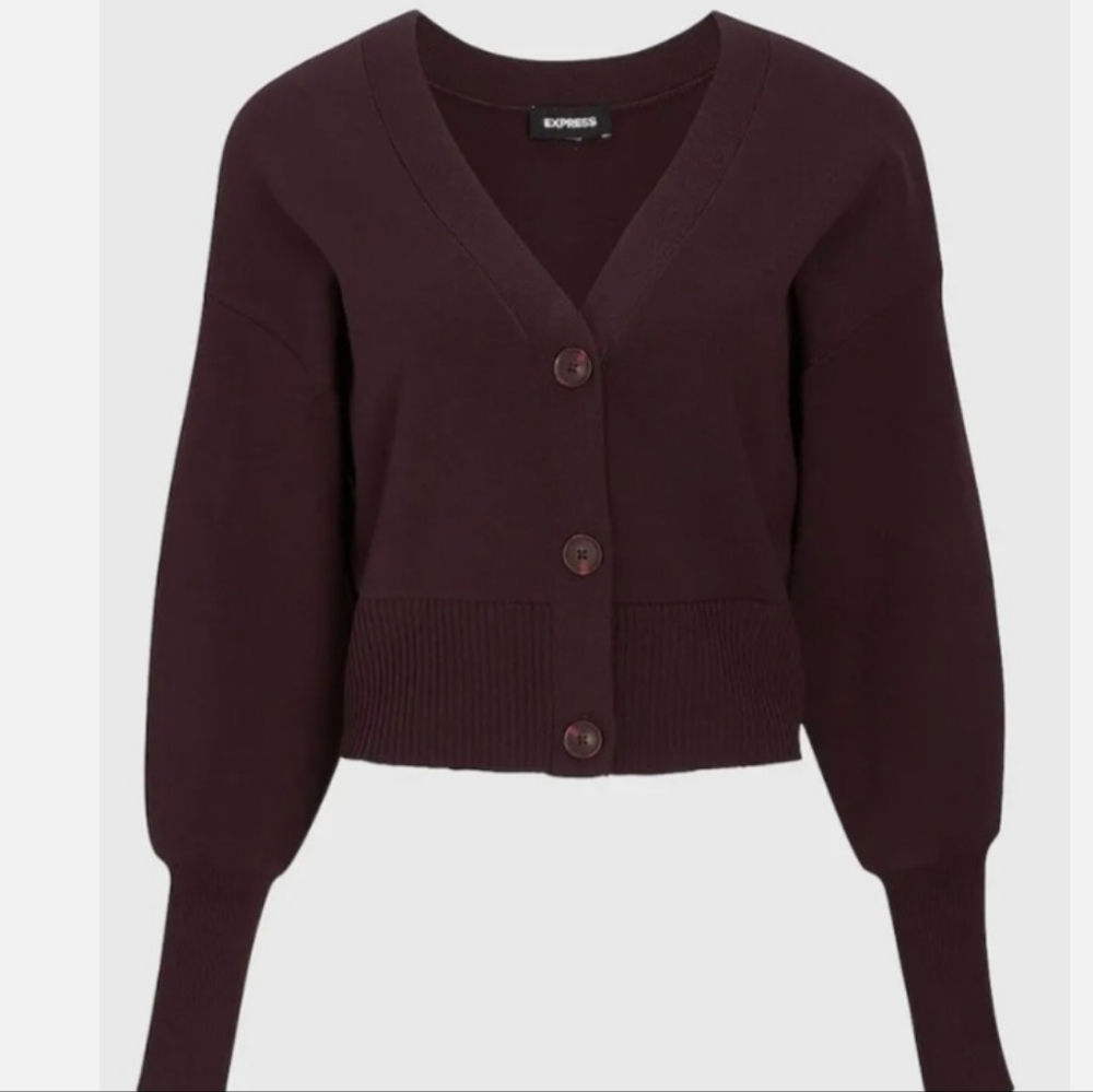 Express Sweater